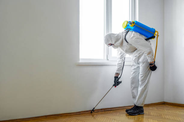 Best Pest Removal Services  in Port Byron, IL