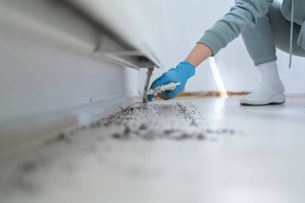 Best Affordable Pest Control Services  in Port Byron, IL